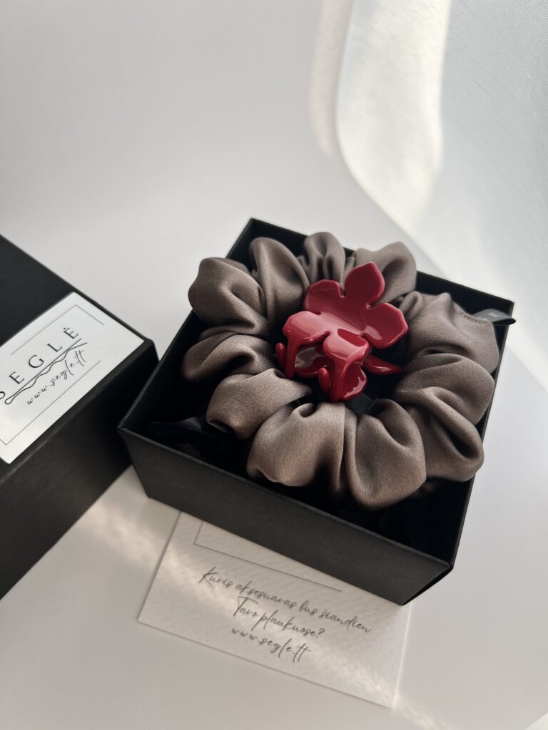 Plaukų aksesuarų rinkinys SUBTILUMAS - Image 5