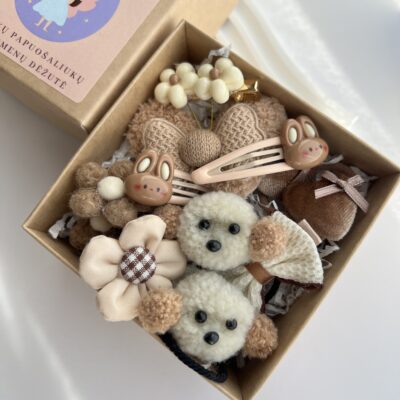 Rusvų spalvų žaismingų plaukų segtukų ir gumyčių rinkinys mergaitėms. Aksesuarai rudoje dėžutėje