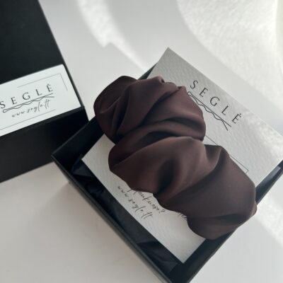 Plaukų segtukas tamsaus šokolado spalvos